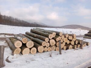 sprzedam doniczkę. Sprzedam doniczkę paskowaną co ma cztery rogiSprzedam doniczkę paskowaną co ma cztery rogiSprzedam doniczkę paskowaną co ma cztery rogi